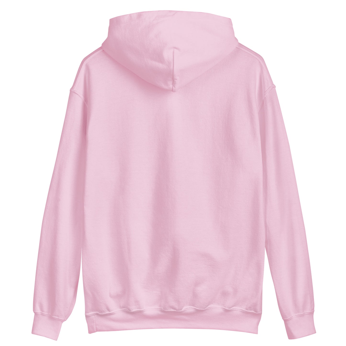 BLESSED PINK HOODIE