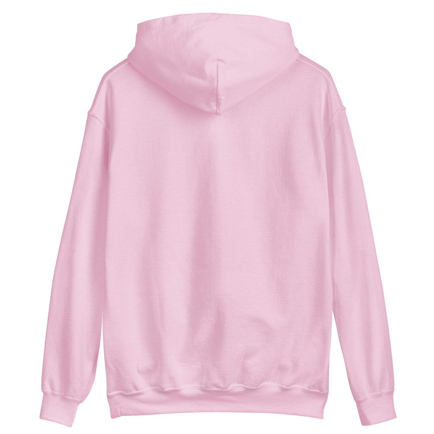 BLESSED PINK HOODIE